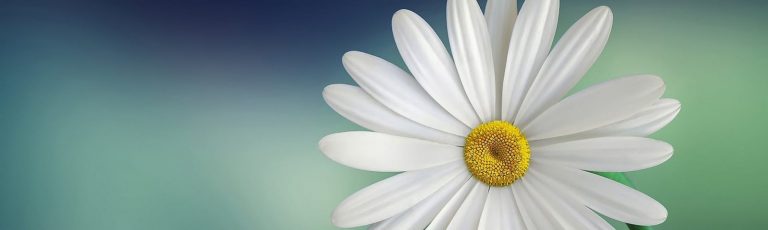 hare park hypnotherapy