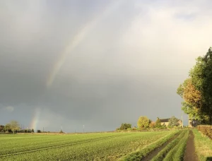 Rainbow over fields